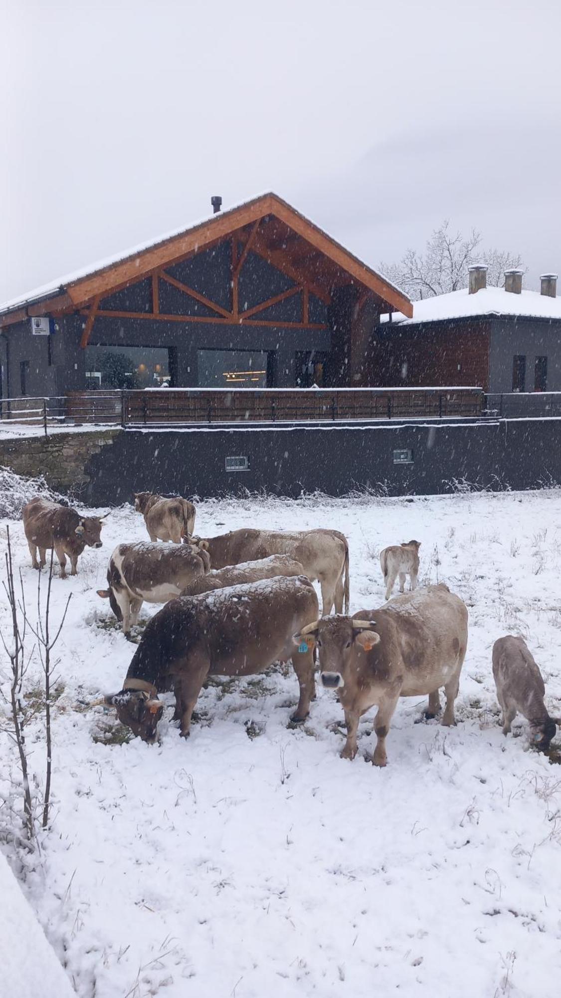Hotel Cotiella Campo  Kültér fotó