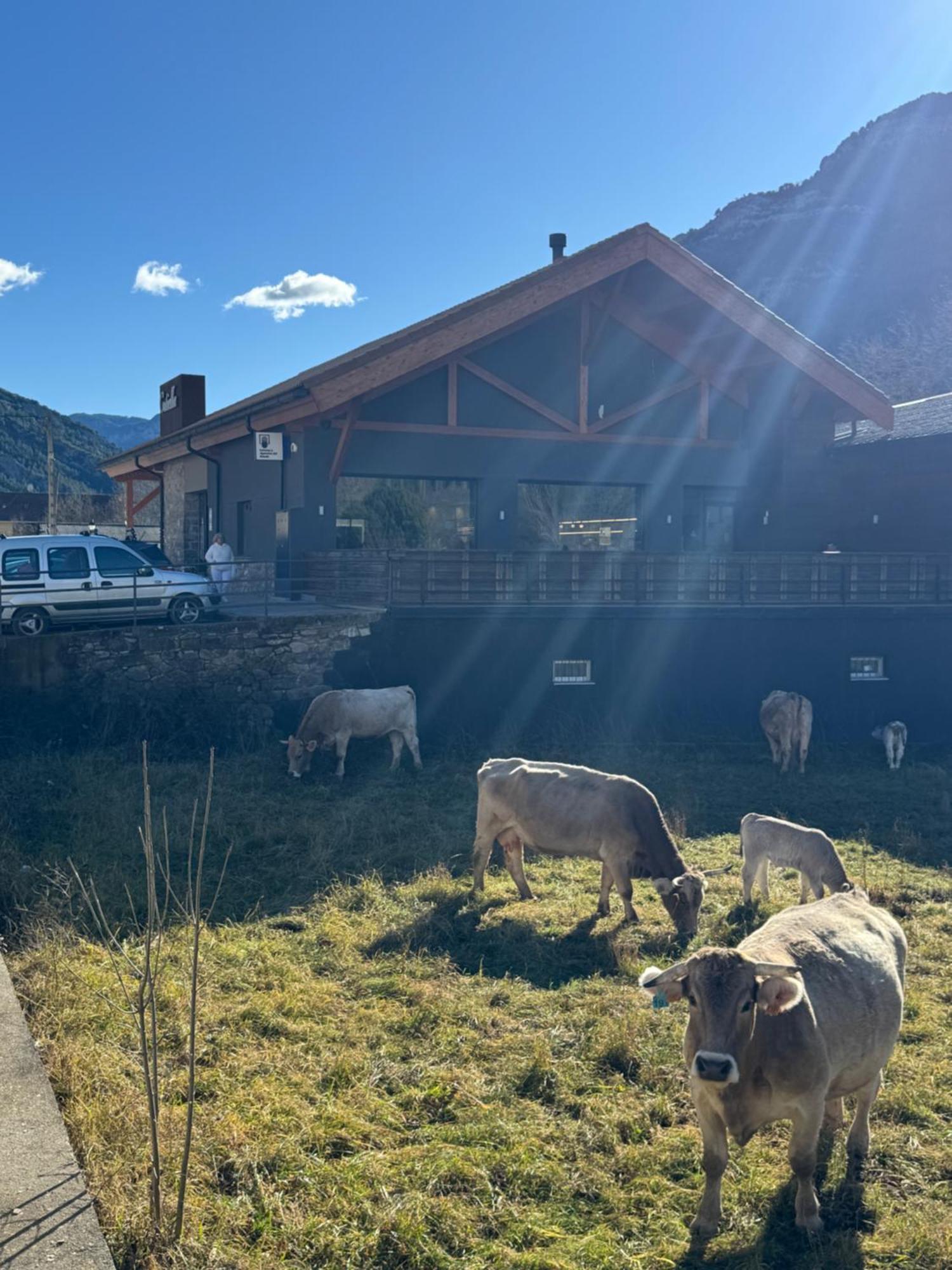 Hotel Cotiella Campo  Kültér fotó