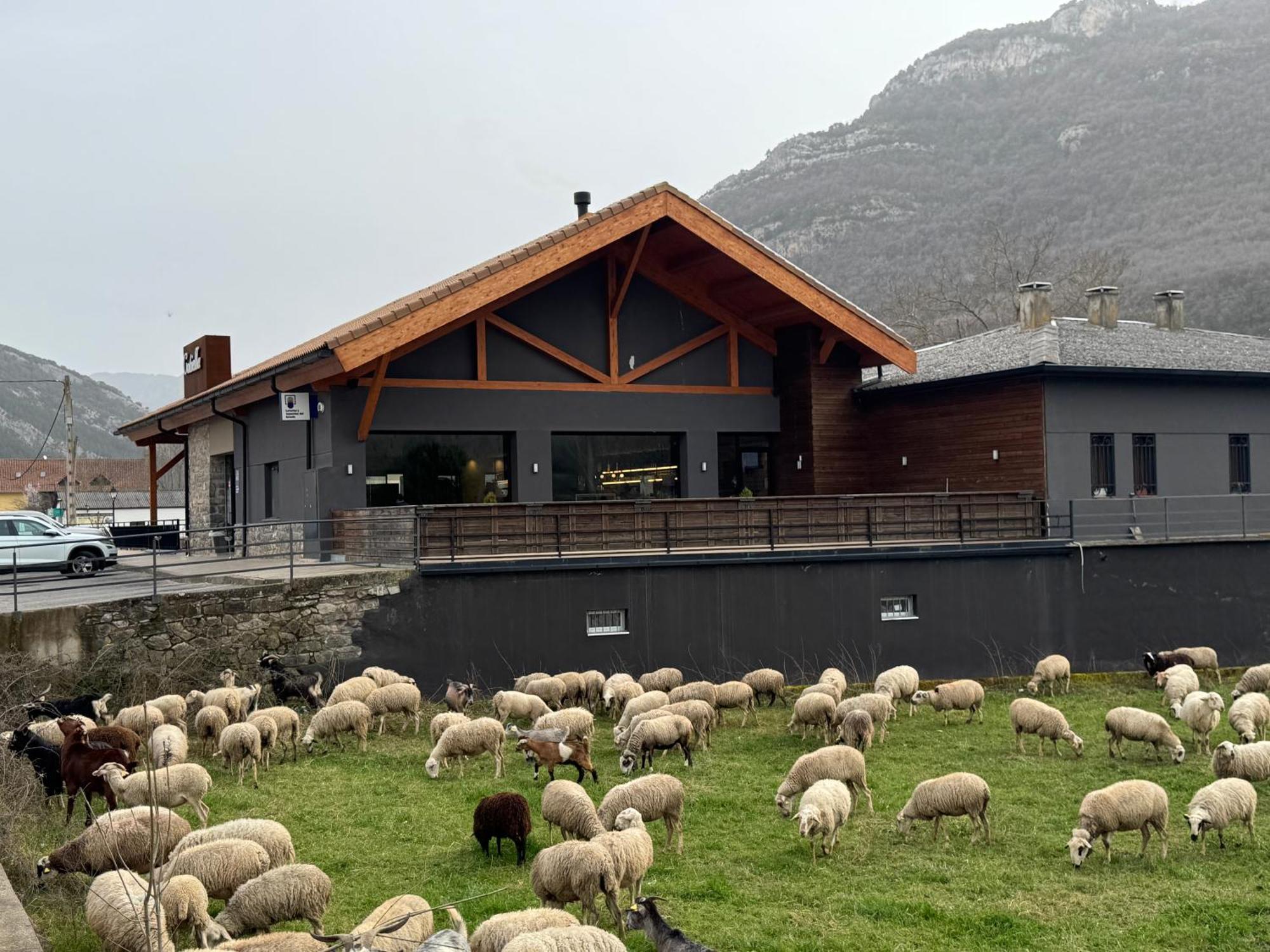 Hotel Cotiella Campo  Kültér fotó